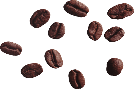  دانه قهوه 